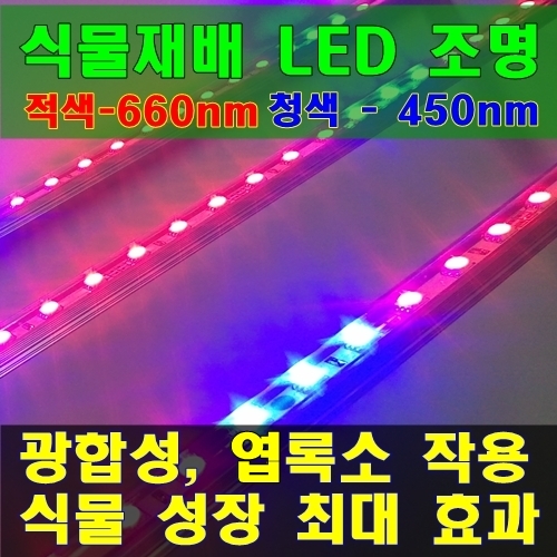 식물재배 전용 LED조명-550mm [3줄-81발/4줄-108발]/수경재배/베란다텃밭/난/다육