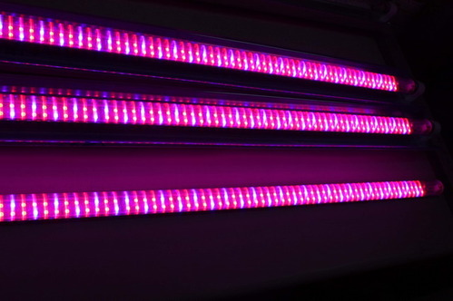 식물재배 전용 LED등 (FSL-0312RB)